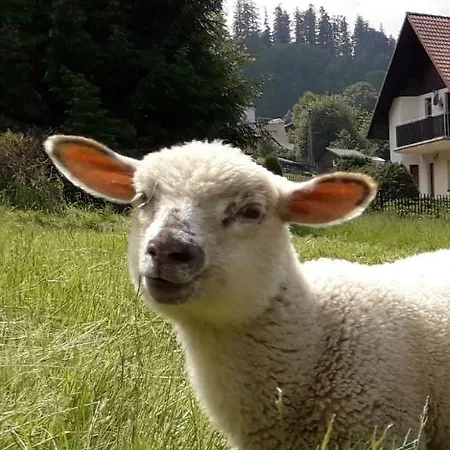 Ziolowy Dworek Wisla