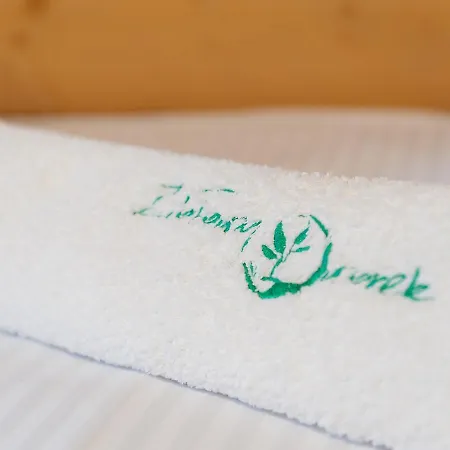 Ziolowy Dworek * Wisła