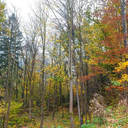 Habitación en casa particular Ziolowy Dworek *