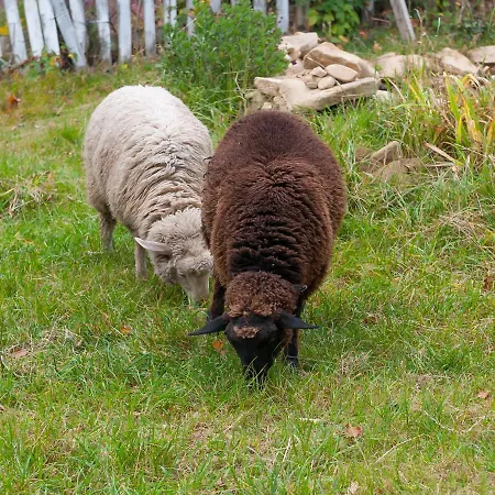 Habitación en casa particular Ziolowy Dworek *