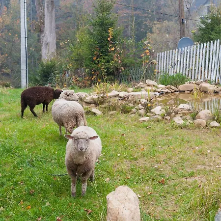 Homestay Ziolowy Dworek