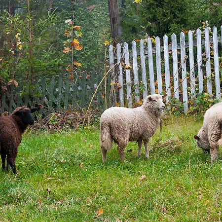 Ziolowy Dworek Habitación en casa particular *