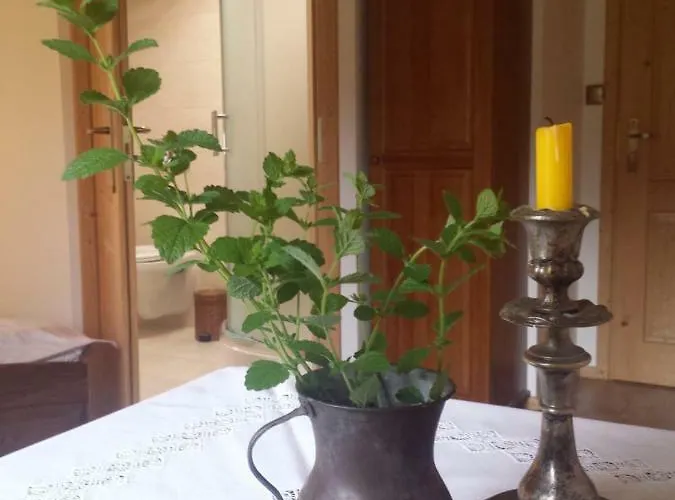 Accommodatie bij particulieren Ziolowy Dworek