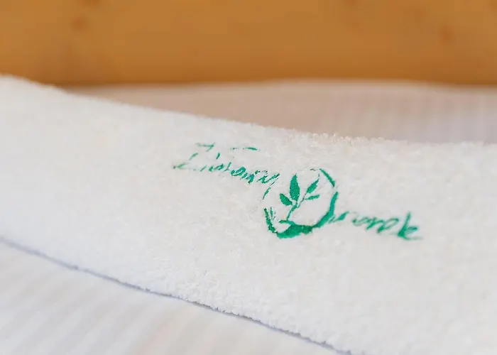 Ziolowy Dworek * Wisła