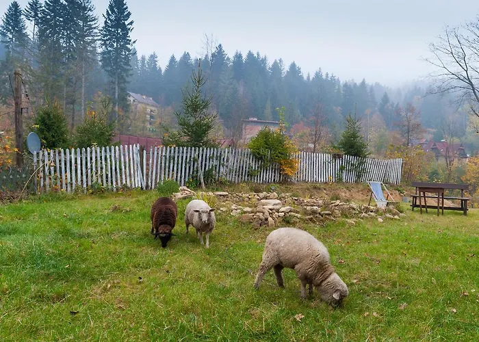 Ziolowy Dworek Проживание в семье