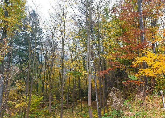 Проживание в семье Ziolowy Dworek *