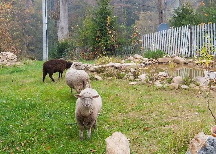 Проживание в семье Ziolowy Dworek