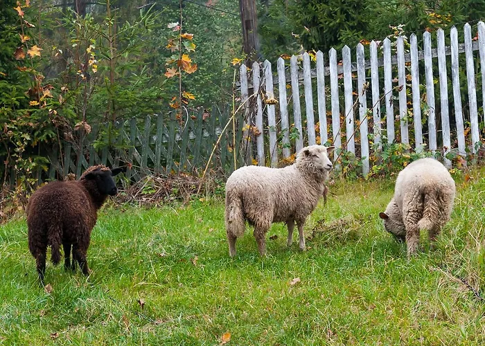 Ziolowy Dworek Accommodatie bij particulieren *